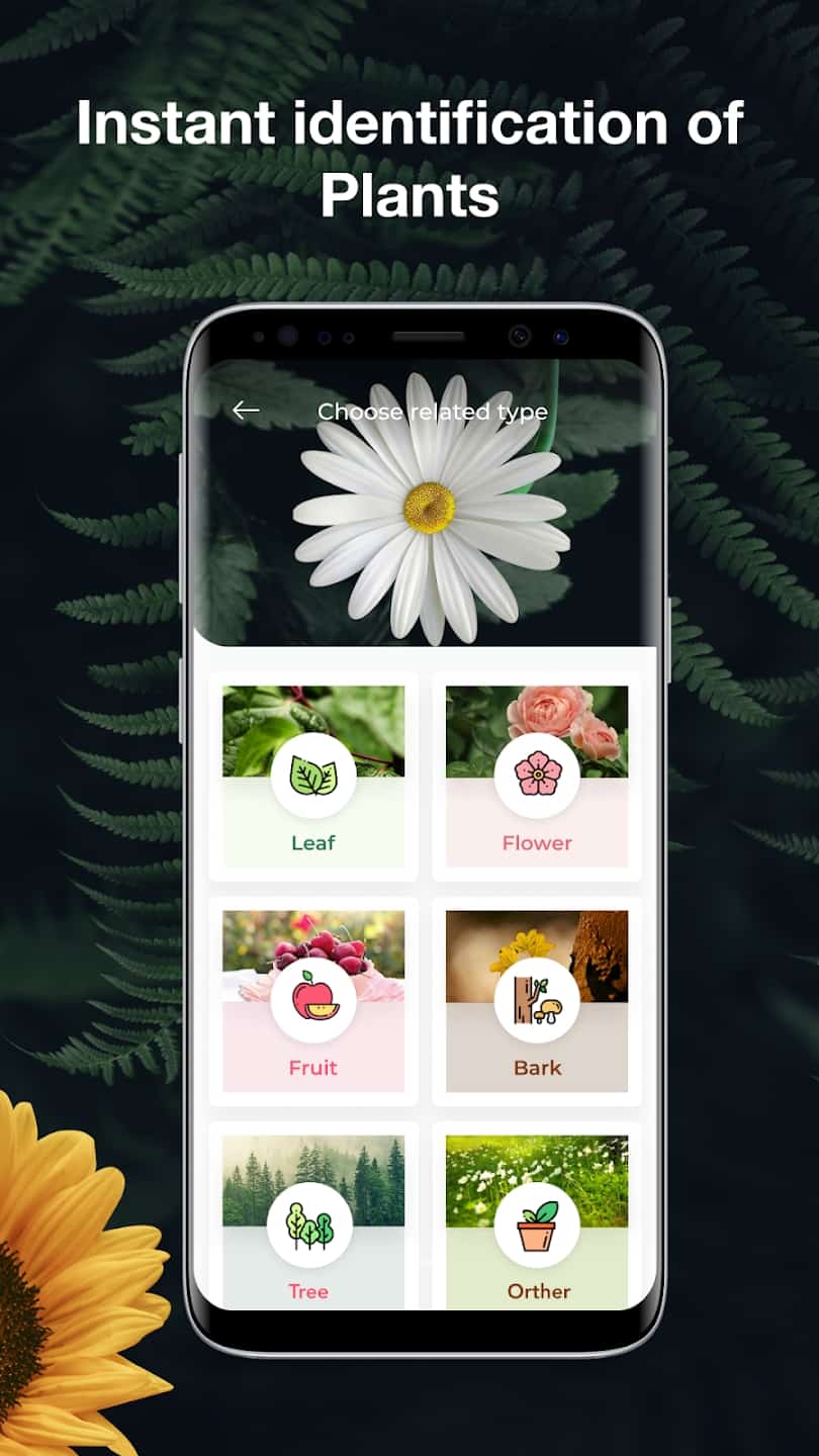 Flower Tree Identification App Best Flower Site